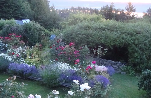 Salt Spring Island Apartment | Morningside Garden Suite on beautiful Salt Spring Island