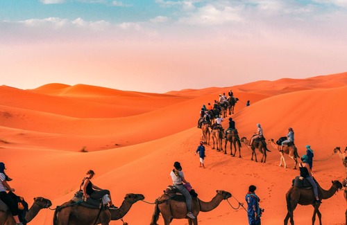 Zagora Other | Morocco Bivouac Discoveries