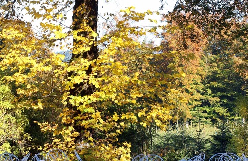 Moux-en-Morvan House | Morvan, Lac des Settons Maison des roseaux Gite 15 people