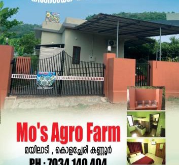 Talipparamba House | MO’s Agro
