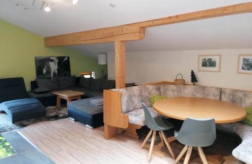 Mittersill Apartment | Mosenbauer Ferienwohnung Salzburg