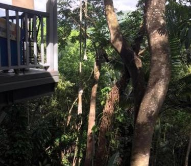 Mossman Bed & Breakfast | Mossman Gorge Bed and Breakfast