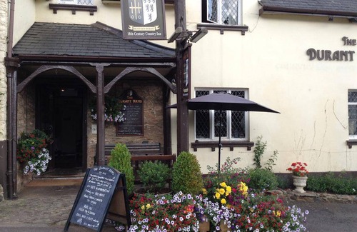 Ashprington House | Motel ∙ 127 guests