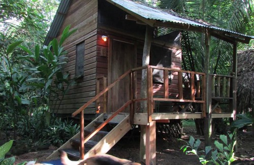 Bullet Tree Falls House | Motel ∙ 8 guests