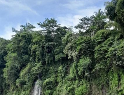 Banjarasri Other | Moto driver tour Borobudur , Rice terace, sacred waterfall
