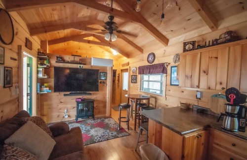 Blairsville Cabin | Motor Cycle Friendly Copperhead Lodge #39 2 King Bedrooms, Hot Tub and 3 TV's!