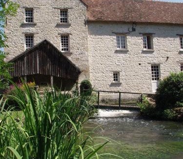 Pithiverais-Gatinais Villa | Moulin de Tingrain