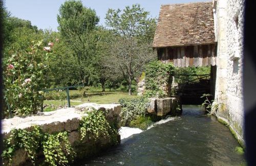 Pithiverais-Gatinais Villa | Moulin de Tingrain