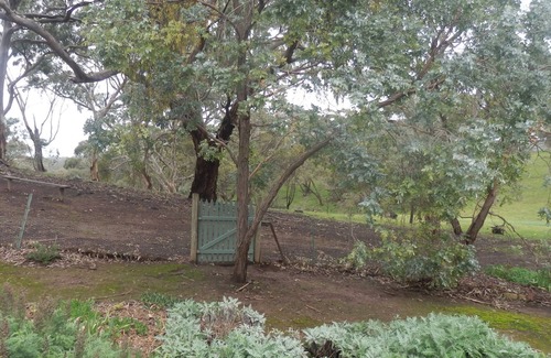 Spring Gully House | mount charmal cottage.