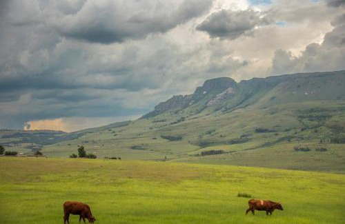 Maluti a Phofung Apartment | Mount Lake Cabins