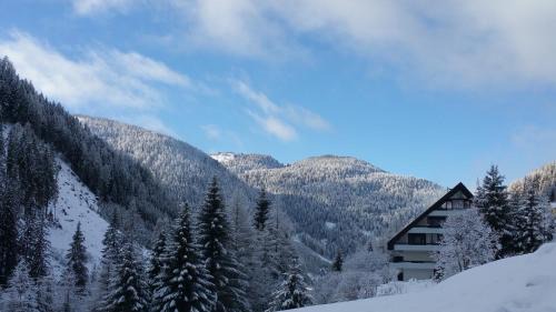 Innerkrems Apartment | Mountain apartment Innerkrems