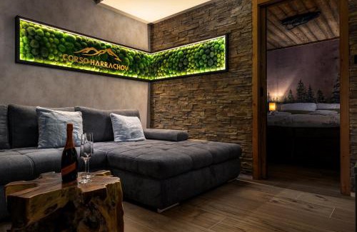 Harrachov Apartment | Mountain Apartment No 209-CORSO Harrachov, High Speed WI-FI, Ambilight smart TV, Netflix, YouTube, FREE parking, PRIVATE bike storage