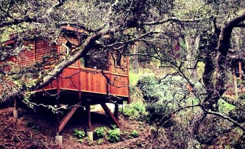 Carmel House | Mountain Cabin with Canyon Views near Pfeiffer Big Sur State Park, California