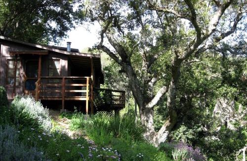 Carmel House | Mountain Cabin with Canyon Views near Pfeiffer Big Sur State Park, California