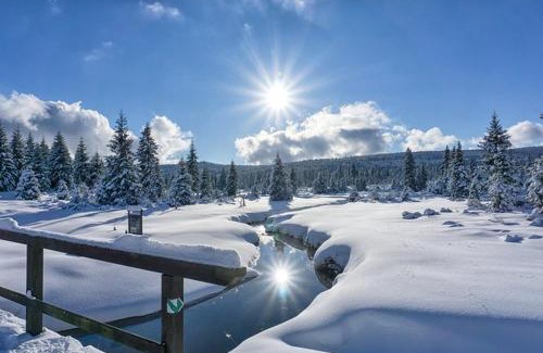 Korenov Ski Chalet | Mountain chalet