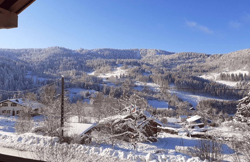 Ventron Ski Chalet | Mountain chalet for up to 12 people with spa and sauna