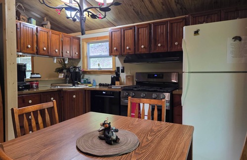 Hiawassee House | Mountain Cove - Great Longer Stays - Firepit