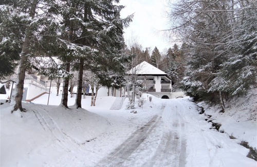 Triberg im Schwarzwald Apartment | Mountain view apartment, idyllic location on the edge of the forest, 5 min. to the waterfall