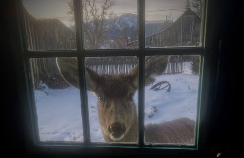 La Veta House | Mountain getaway in the heart of La Veta!