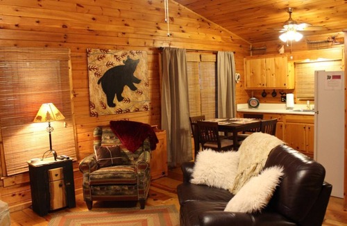 Blue Ridge Cabin | Mountain Heaven-King-size bed, hot tub, WiFi!