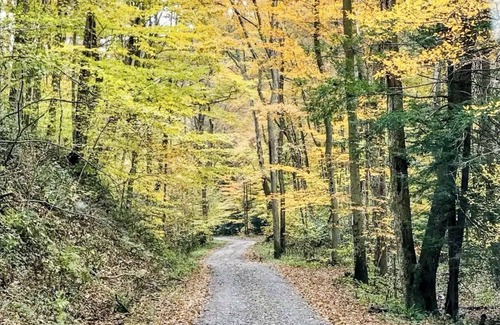 Ohiopyle House | Mountain Home on 3 Acres - 5 Miles from Ohiopyle
