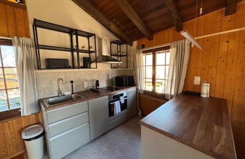 Boenigen House | Mountain Homes - Outpost Studio