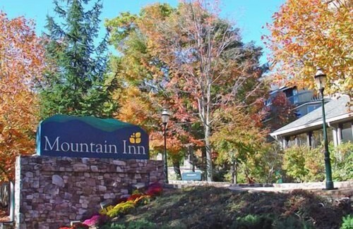 Wintergreen Condo | Mountain Inn Studio 92 with Wintergreen Advantage