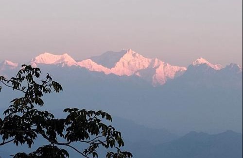 Darjeeling House | Mountain Paradise Homestay By StayApart