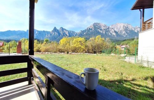 Busteni Apartment | Mountain Place to Remember