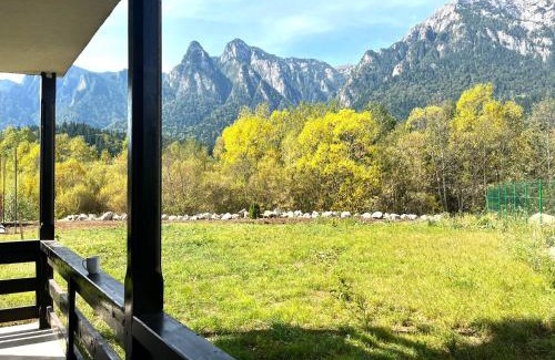 Busteni Apartment | Mountain Place to Remember