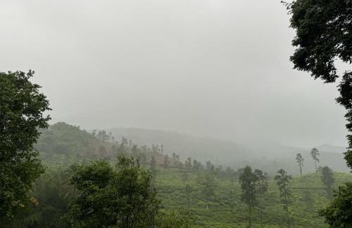 Kottappadi part House | Mountain Serenity Meppadi, Wayanad