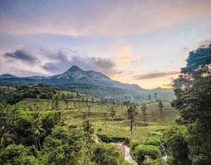 Kottappadi part House | Mountain Serenity Meppadi, Wayanad
