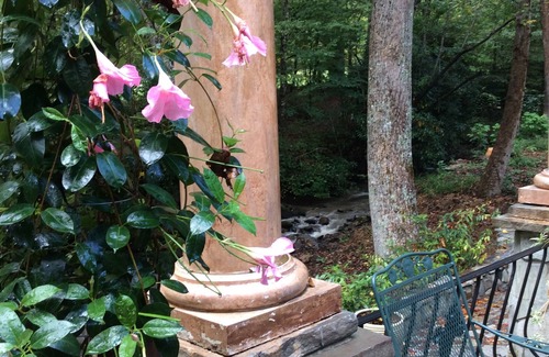 Hayesville Apartment | Mountain setting in magical Tusquetti Valley