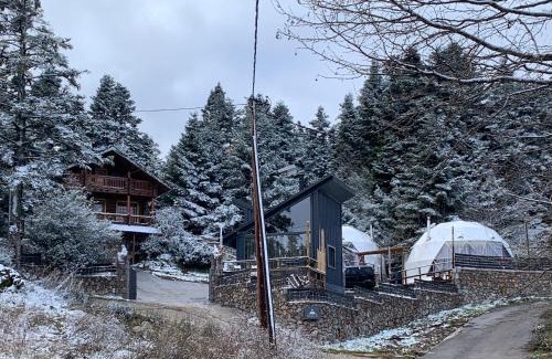 Lamia Cabin | Mountain tea
