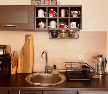 Shiligarnika Apartment | Mountain View Apartment at Bansko Royal Towers