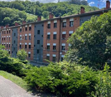 Figaredo Apartment | Mountain View Apartment