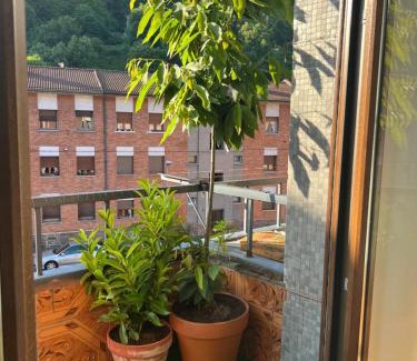 Figaredo Apartment | Mountain View Apartment