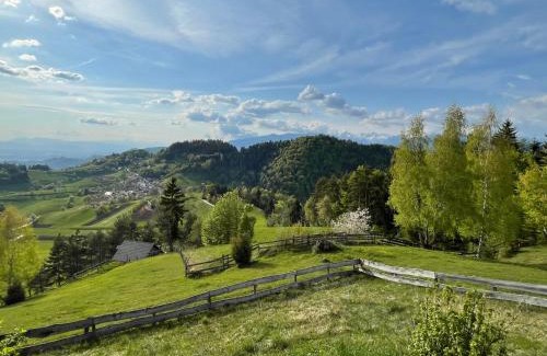 Kamnik House | Mountain View Cottage