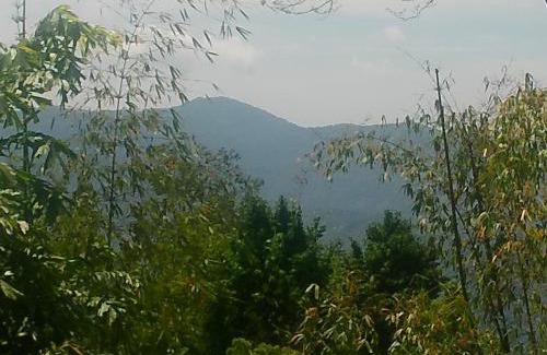 Turuk House | Mountain View Homestay Kalimpong