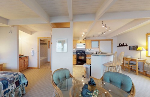 Polson Apartment | Mountain-view studio on Flathead Lake with jetted tub & swimming docks