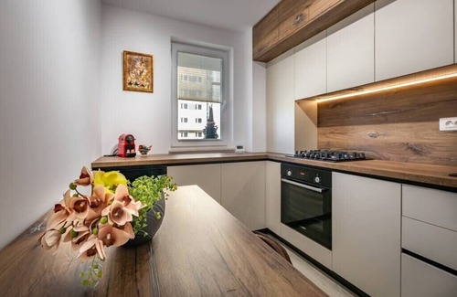 Brasov Apartment | Mountain View Terrace Oasis