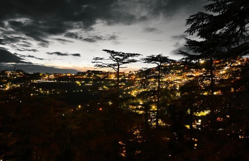 Shimla Hotel | Mountain Zest-Simla Royale Near Mall Road-Free Pickup From Railway Station Simla