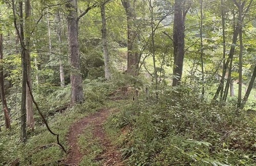 Stollings Cabin | Mountaintop Cabin with pool, cinema room, Full Bar, Billiards, Kitchen, Sleeps 6