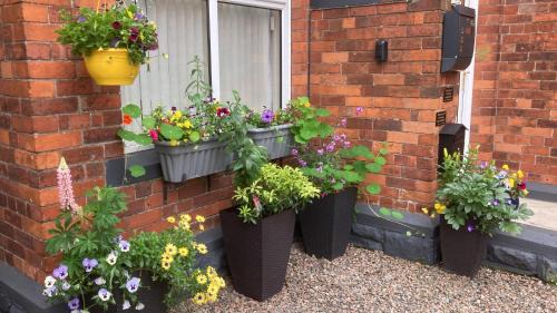 Belfast Apartment | Mountroyal Victorian Studio Self Catering Apartment 3