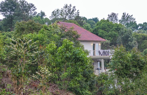 Wellington Villa | Moving Mist Villa