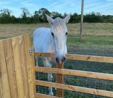 Thirsk House | Mowbray Stable Cottages