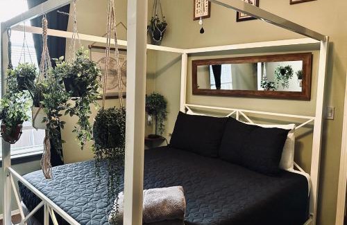 Northeast Neighbors Apartment | Mr. McGregor’s Garden