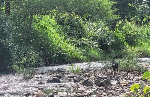 Murbad Other | Mrittika Farms