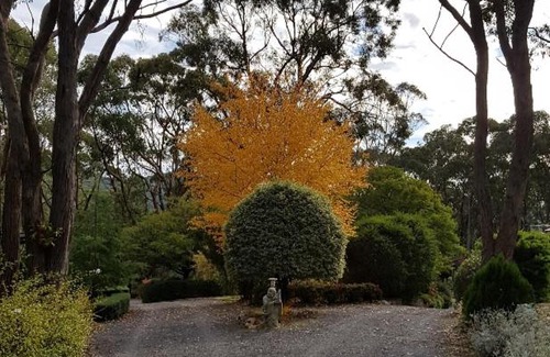 Crafers House | Mt Lofty Botanic Garden Studio