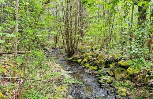 Ashford House | Mt Rainier!Best place to stay with family and friends! Sleeps10!4B 2B Home! Hottub!PondView!Paradise!